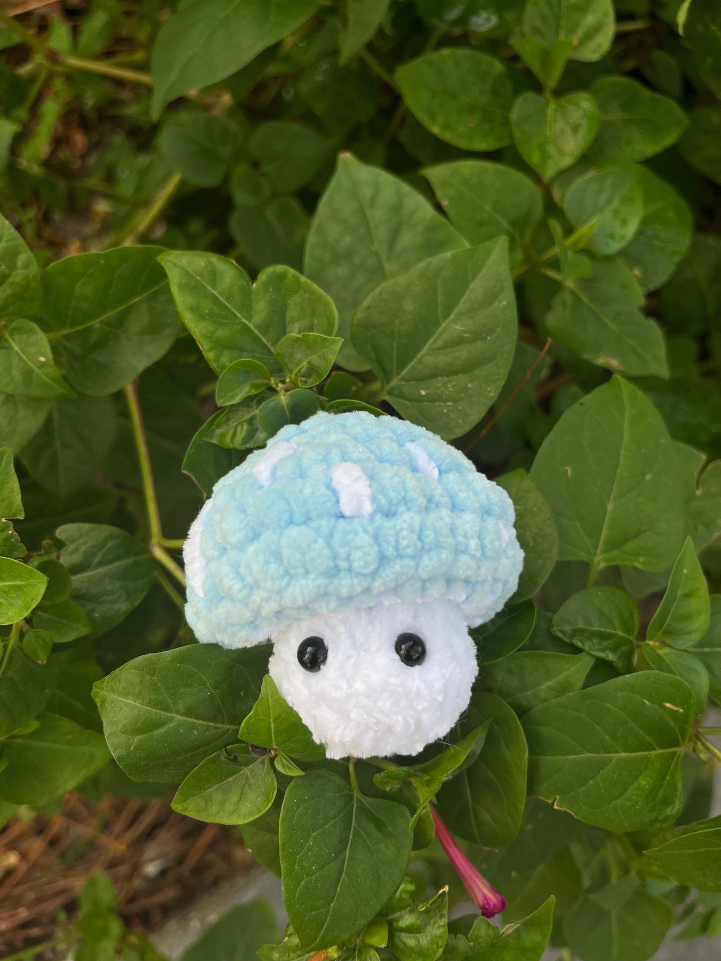 Crochet Popping Mushrooms