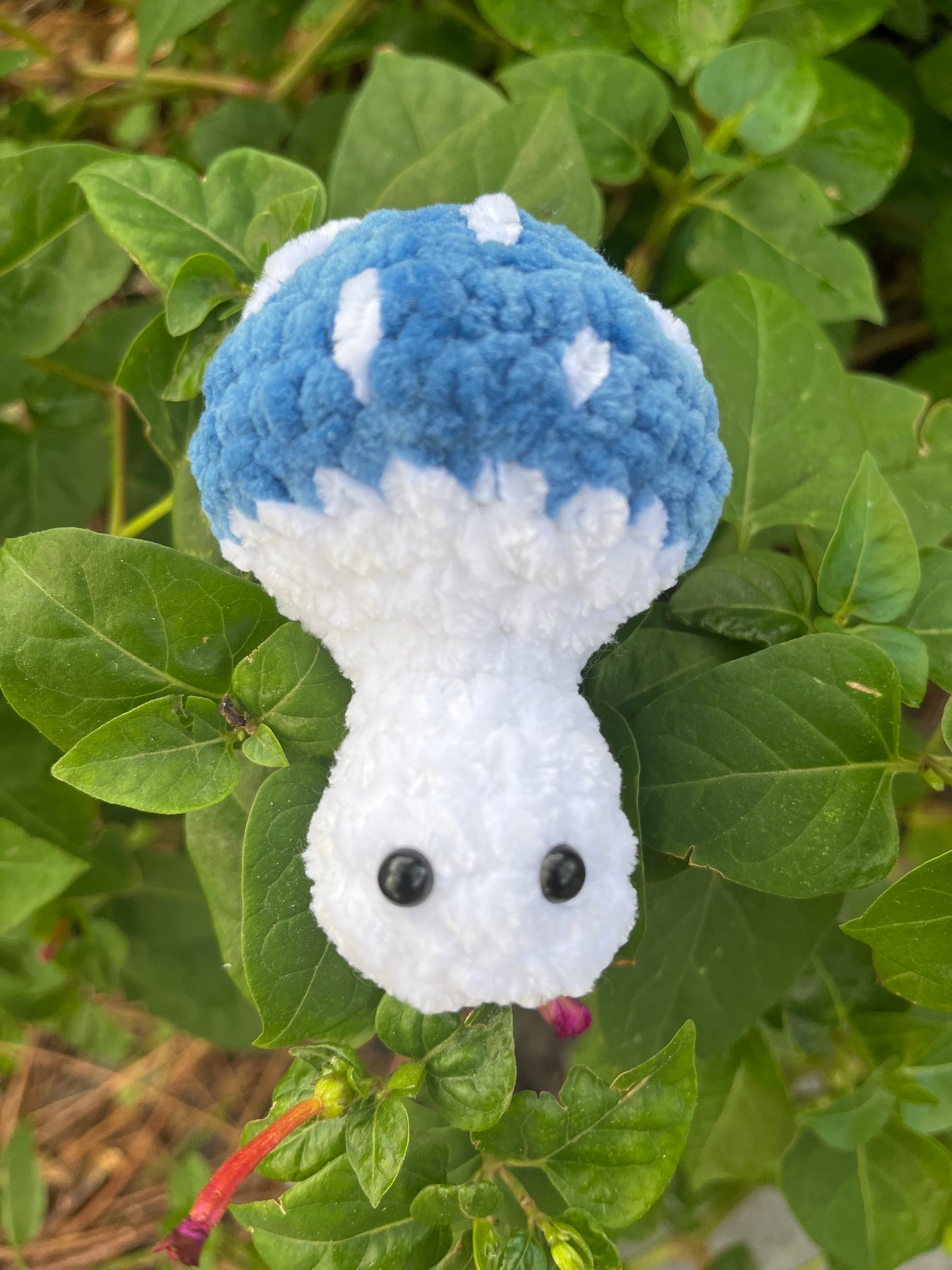 Crochet Popping Mushrooms